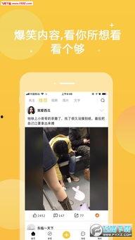 暖暖的视频国产限制,挑战与突破