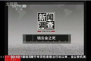 国产在线视频2120,2120年创新与发展的新篇章