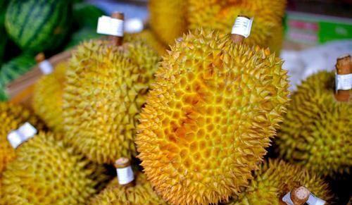 国产榴莲长啥样图片视频