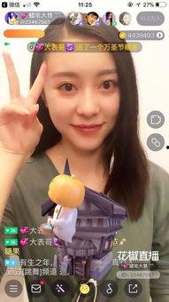 国产主播网红视频,短视频时代下的魅力演绎