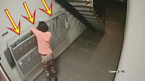 国产 楼道 视频 在线,探寻中国社区生活剪影