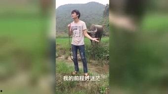 福利视频国产经典,重温那些年感动我们的温馨瞬间