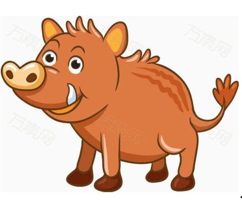 国产野猪动画视频大全