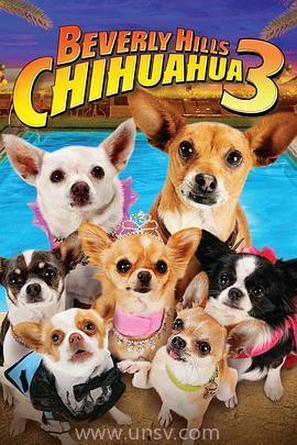 国产凹凸在线视频a,带你领略青春热血的冒险之旅