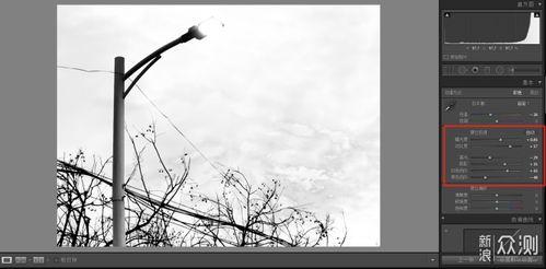 国产白帝喇叭怎么修理视频,视频教程详解