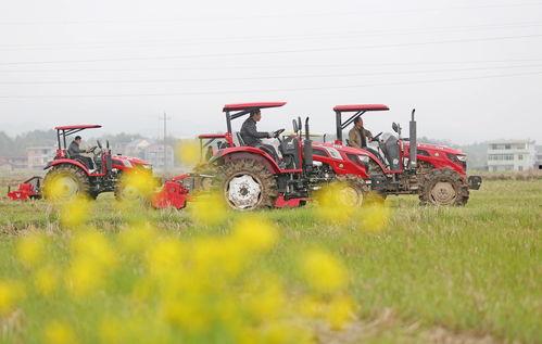 中国产粮大户视频,揭秘我国粮食生产的领军力量